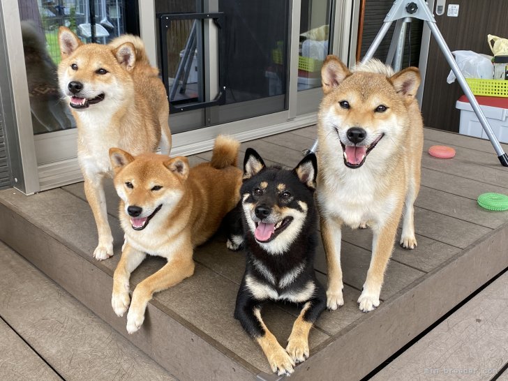斉藤ビアンカ バネスカブリーダー