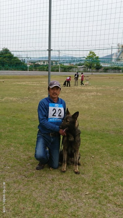 齋藤孝ブリーダー