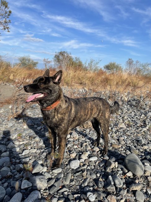 八木侑香ブリーダー