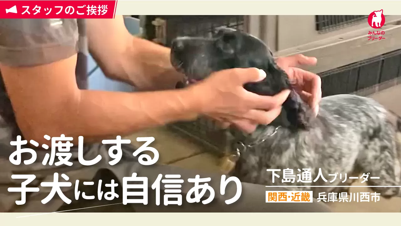 スタッフ紹介の動画