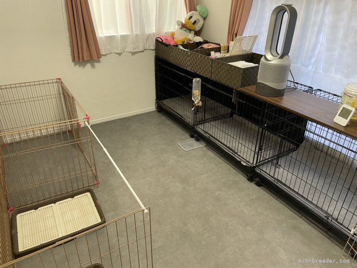 ご飯などを食べさせたりするお部屋♪｜桑原　里美(くわはら　さとみ)ブリーダー(神奈川県・パグ・JKC登録)の紹介写真6