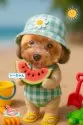 ティーカッププードル【千葉県・男の子・2025年3月11日・レッド】の写真14「あ〜可愛い🥹💕」