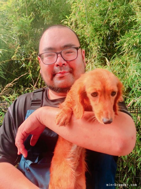 松本　源大(まつもと　げんた)ブリーダー(愛知県・ボーダーコリーなど・JKC登録)の紹介写真3