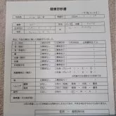 チワワ(ロング)【愛知県・女の子・2024年2月7日・チョコレート&タン】の写真5