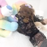 ティーカッププードル【山梨県・男の子・2025年9月26日・レッド】の写真4