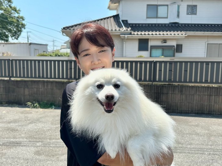 佐久間恵子ブリーダー