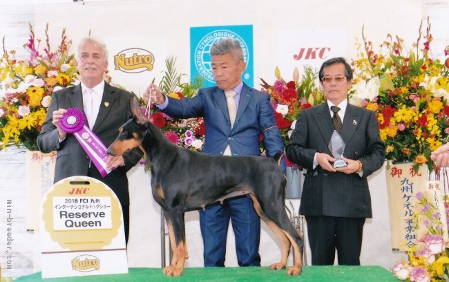 田中実ブリーダー