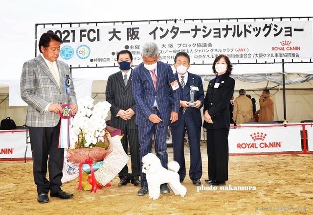 2021 大阪インター JKCチャンピオン ポップ トリック JP レッツ ミー｜田中　実(たなか　みのる)ブリーダー(兵庫県・シベリアンハスキーなど・JKC登録)の紹介写真6