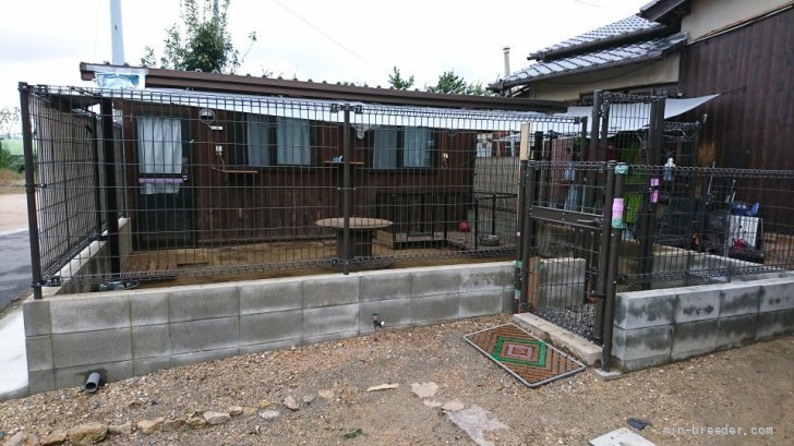 中本幸治ブリーダー