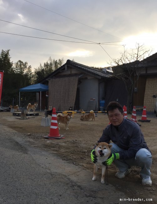 犬舎前にて｜水本　和明(みずもと　かずあき)ブリーダー(山口県・柴犬・日本犬保存会登録)の紹介写真1