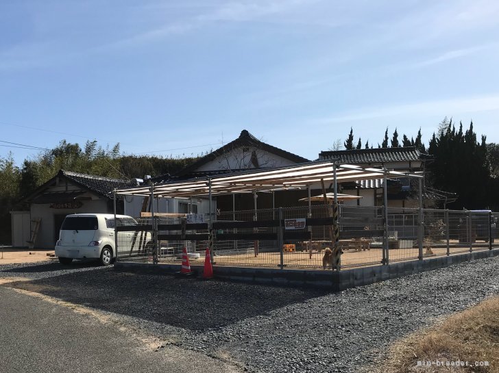 ドッグラン風景｜水本　和明(みずもと　かずあき)ブリーダー(山口県・柴犬・日本犬保存会登録)の紹介写真2
