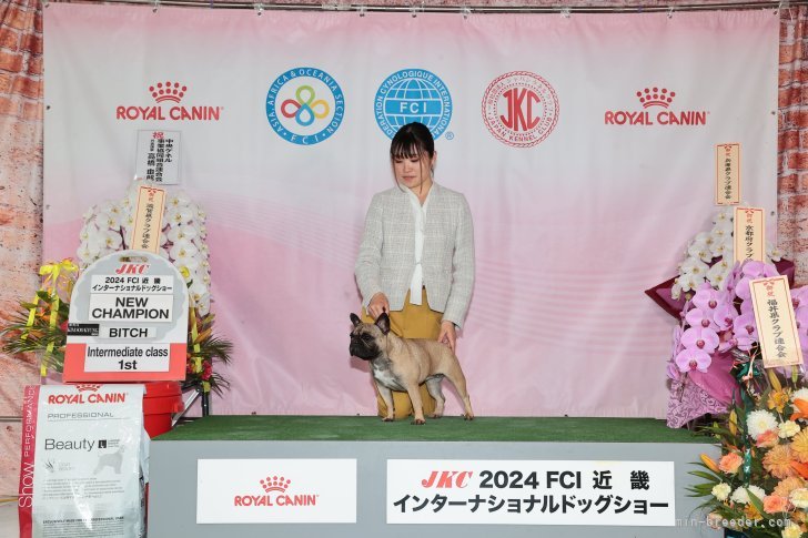 古原篤史ブリーダーのブログ：new champion