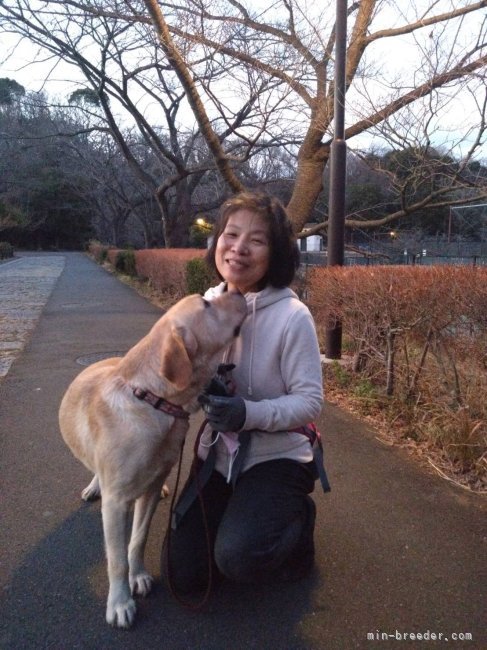 江澤文子ブリーダー