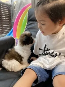 みかりん 様のお迎えした子犬