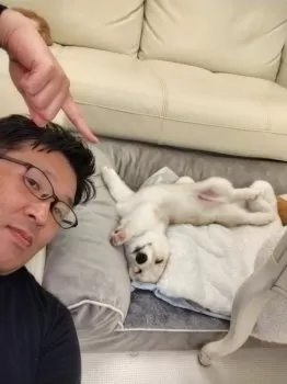 かずパパ 様のお迎えした子犬
