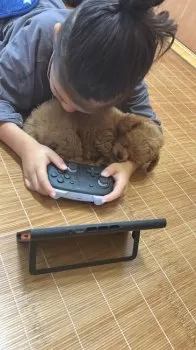 A.M 様のお迎えした子犬