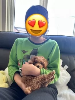 J.Y 様のお迎えした子犬