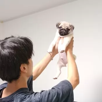 まる 様のお迎えした子犬