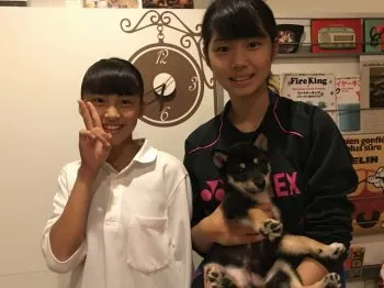 indylatte 様のお迎えした子犬