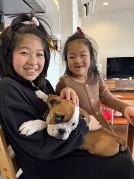 T.K 様のお迎えした子犬
