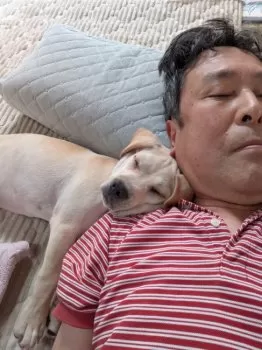Y.A 様のお迎えした子犬