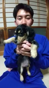 E・T 様のお迎えした子犬
