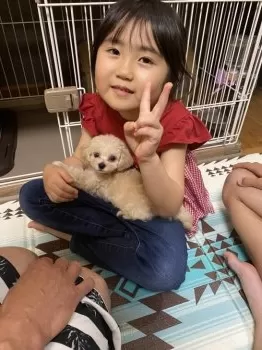 ゆせら 様のお迎えした子犬
