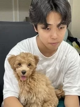 M.S 様のお迎えした子犬