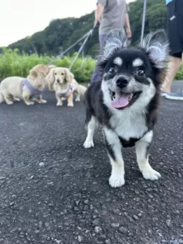 T.I 様のお迎えした子犬