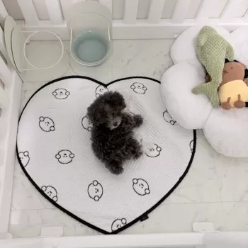 A.S 様のお迎えした子犬