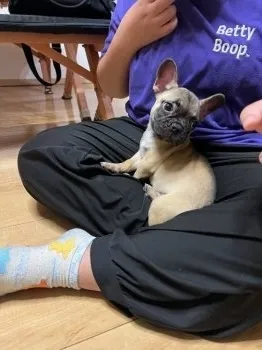 K.A 様のお迎えした子犬