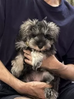 T.O 様のお迎えした子犬