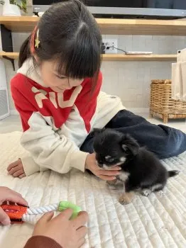 M.N 様のお迎えした子犬