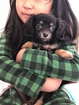 M.H 様のお迎えした子犬