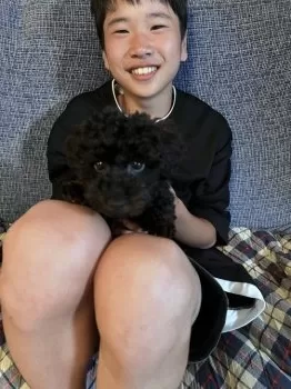 ゆうゆ 様のお迎えした子犬