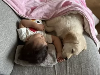 A.M 様のお迎えした子犬