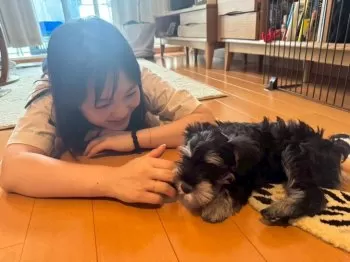 みさたろう 様のお迎えした子犬