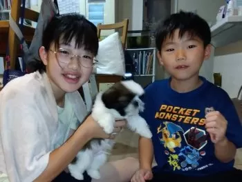 A.Ｉ 様のお迎えした子犬