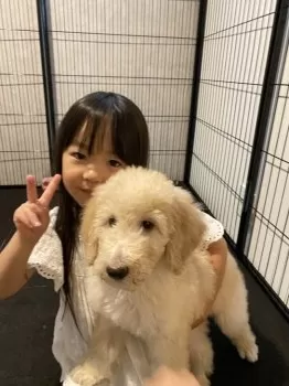 H 様のお迎えした子犬