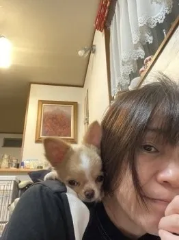 はま 様のお迎えした子犬
