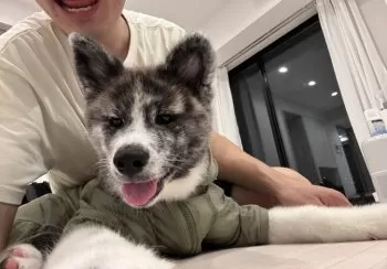 Ｉ.J 様のお迎えした子犬