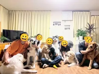 さんちゃん 様のお迎えした子犬