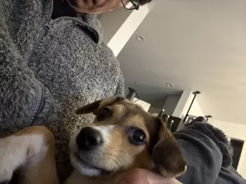 ナオキ 様のお迎えした子犬