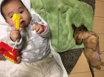 ソナハ 様のお迎えした子犬