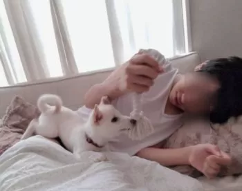 杏ママ 様のお迎えした子犬