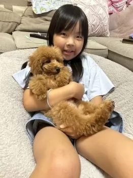 E.H 様のお迎えした子犬