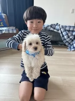 Y.N 様のお迎えした子犬