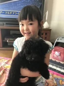 ゆう 様のお迎えした子犬