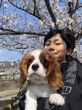 Y.M 様のお迎えした子犬