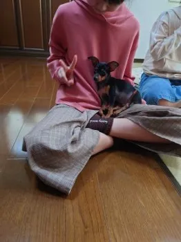 ヤマダ 様のお迎えした子犬
